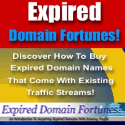 Product picture Expired Domain Fortunes - How To Buy Expired Domain Names